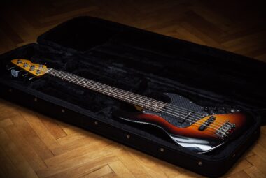bass guitar case