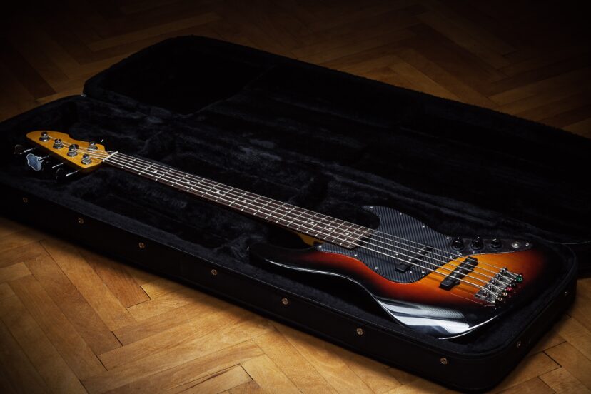 bass guitar case