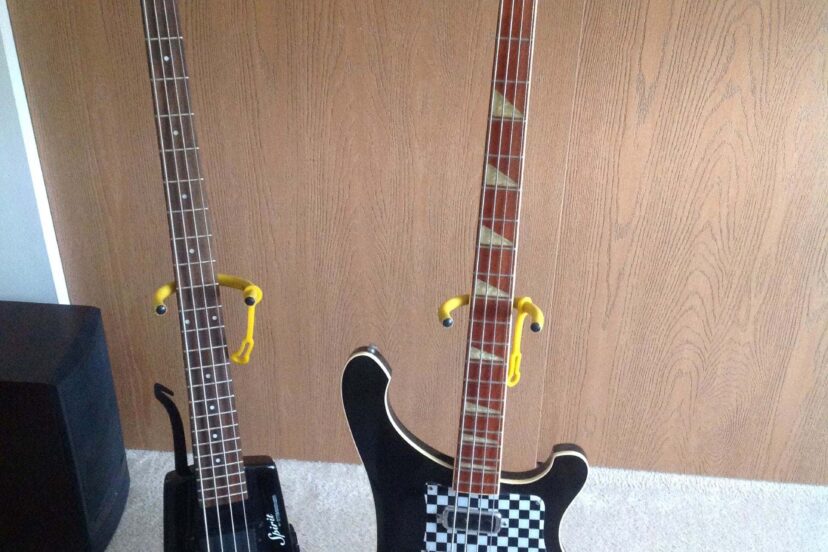 Rickenbacker Bass Guitar