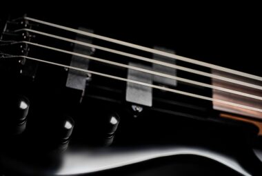 fretless bass guitar