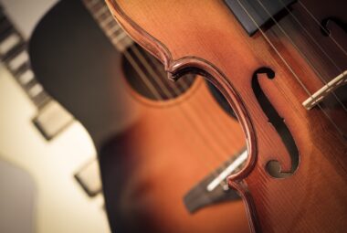 Hofner Bass Guitars