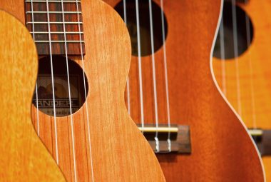 Acoustic bass guitar