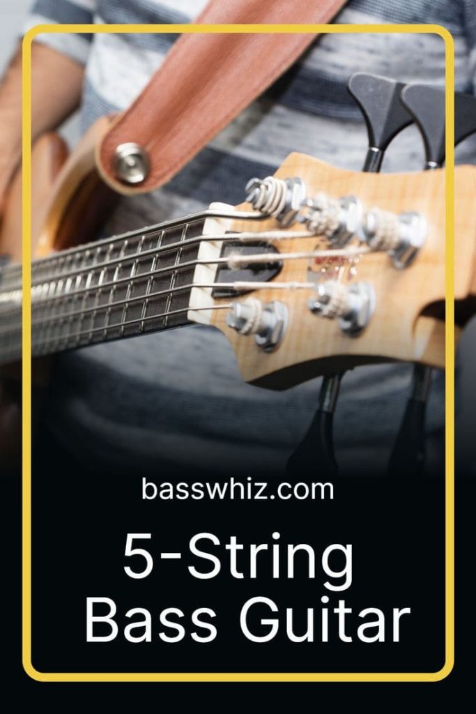 5-String Bass Guitar