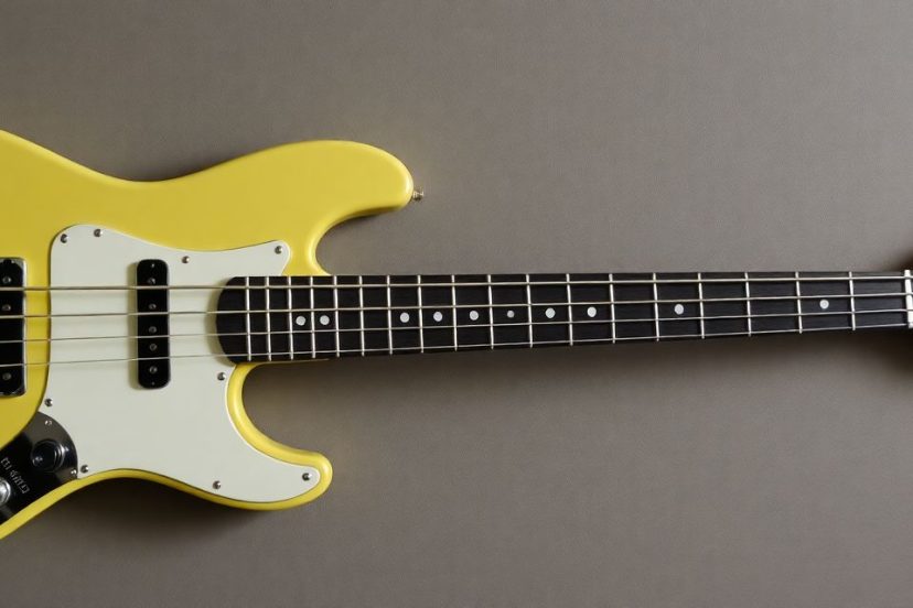 Fender Bass
